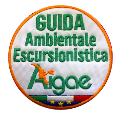 aigae