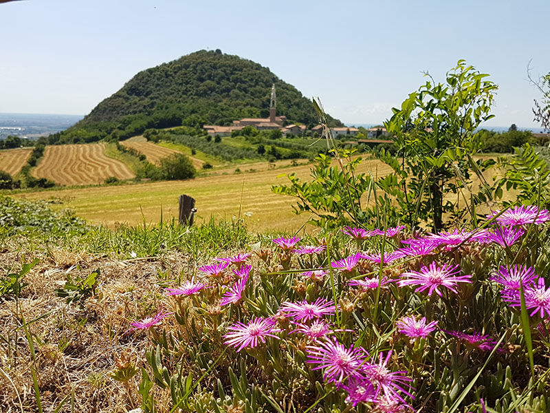 colli euganei e berici