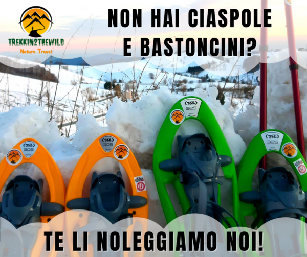 noleggio ciaspole bastoncini ciaspolate veneto