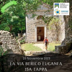 trekking escursione colli euganei berici via berico euganea nuovo cammino 15a tappa vicenza padova domenica 26 novembre 2023 teolo monte madonna rovolon castello vaneza saccolongo