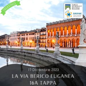 trekking escursione colli euganei berici via berico euganea nuovo cammino 16a tappa vicenza padova domenica 17 dicembre 2023 saccolongo padova bacchiglione argine ciclabile