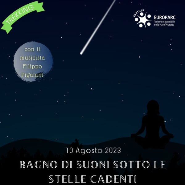trekking escursione colli berici euganei lovertino vicenza stelle cadenti notte san lorenzo filippo pigaiani benessere meditazione campane tibetane giovedì sera 10 agosto 2023