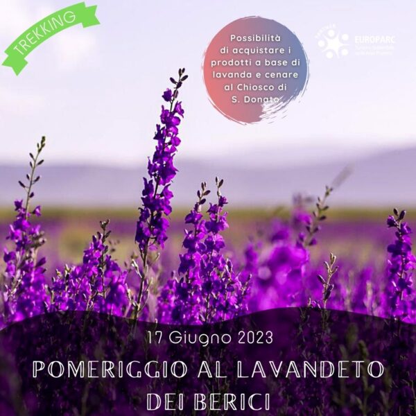 trekking escursione colli berici villaga lavanda monte degli aromi eremo san donato chiosco lavandeto sabato pomeriggio 17 giugno 2023 europarc federparchi