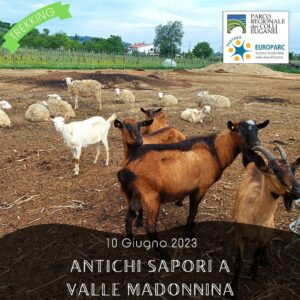 trekking escursione colli euganei rovolon valle madonnina azienda agricola monte madonna degustazione sabato pomeriggio10 giugno 2023 europarc federparchi