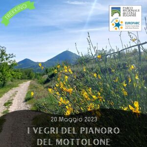 trekking escursione colli euganei vegri pianoro mottolone arquà petrarca ginestre primavera sabato pomeriggio 20 maggio 2023 europarc federparchi