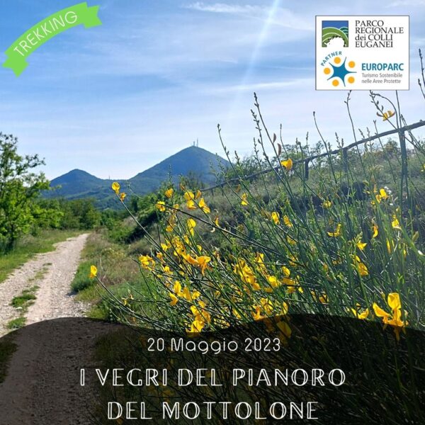 trekking escursione colli euganei vegri pianoro mottolone arquà petrarca ginestre primavera sabato pomeriggio 20 maggio 2023 europarc federparchi