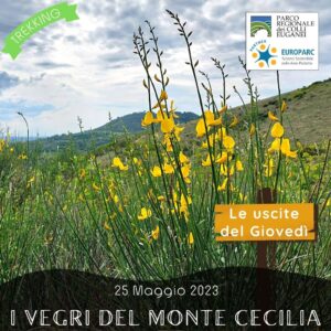 trekking escursione colli euganei vegri pianoro mottolone monte cecilia baone arquà petrarca ginestre primavera giovedì pomeriggio 25 maggio 2023 europarc federparchi