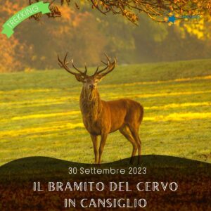 trekking escursione bramito cansiglio cervo re belluno prealpi tramonto luna montagna sabato 30 settembre 2023 europarc federparchi