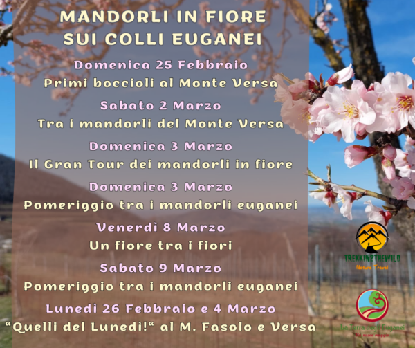 escursioni trekking colli euganei mandorli fiori monte fasolo versa veneto febbraio marzo 2024