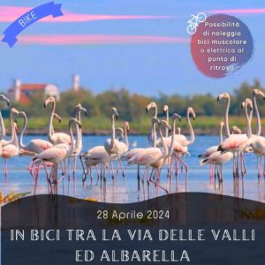 cicloturismo ciclo-escursione bici rosolina mare via delle valli albarella pranzo fenicotteri rosa noleggio domenica 28 aprile 2024 veneto mare