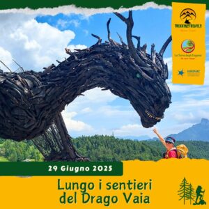 trekking escursione prealpi venete altopiano lavarone drago vaia regeneration martalar respiro alberi rinascita gionghi magrè domenica 29 giugno 2025 trentino alto adige veneto