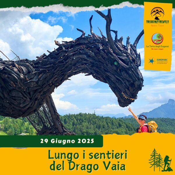 trekking escursione prealpi venete altopiano lavarone drago vaia regeneration martalar respiro alberi rinascita gionghi magrè domenica 29 giugno 2025 trentino alto adige veneto