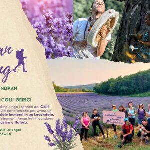 handpan trekking lavanda lavandeto colli berici filippo pigaiani 14 giugno 2025 trekking escursione covoli villaga