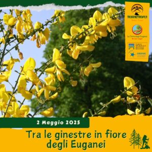trekking escursione colli euganei ginestre fiore vegri arquà petrarca valle san giorgio mottolone pianoro venerdì 2 maggio 2025 europarc pomeriggio unesco