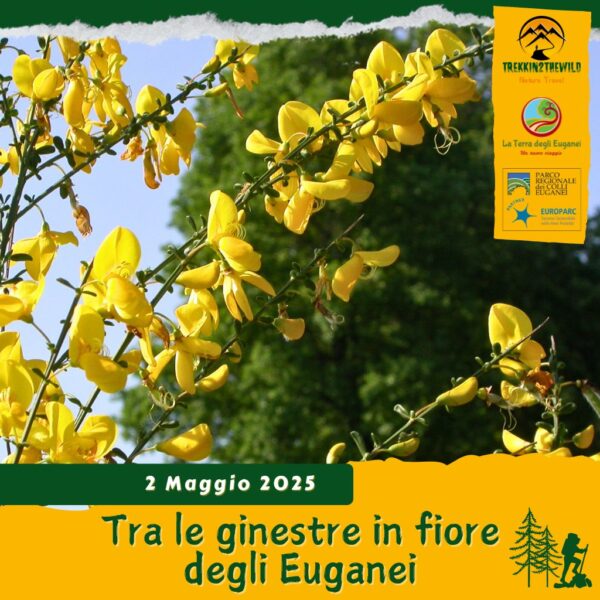 trekking escursione colli euganei ginestre fiore vegri arquà petrarca valle san giorgio mottolone pianoro venerdì 2 maggio 2025 europarc pomeriggio unesco