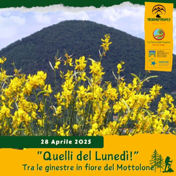 trekking escursione colli euganei pianoro mottolone vegri valle san giorgio arquà petrarca ginestre fiore lunedì pomeriggio 10 marzo 2025 unesco europarc federparchi pomeriggio