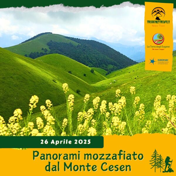 trekking escursione prealpi venete prealpi trevigiane treviso monte cesen rifugio posa puner panorami croce sabato 26 aprile 2025 ponte liberazione veneto