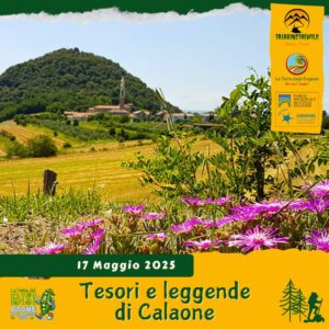 trekking escursione colli euganei festa bisi baone calaone monte castello risi buono pranzo cena leggende sabato 17 maggio 2025 veneto unesco mattina