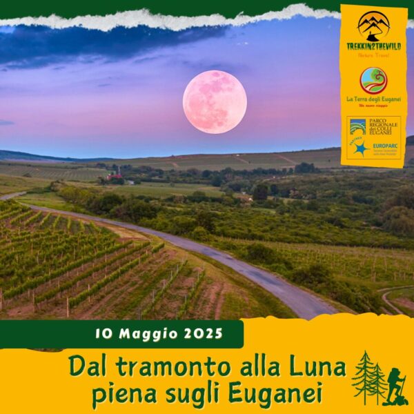 trekking escursione colli euganei luna piena plenilunio terre bianche teolo torreglia sabato 10 maggio 2025 pomeriggio sera cena sacco unesco