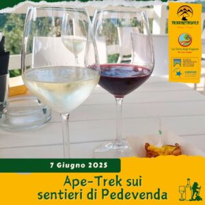 trekking escursione colli euganei monte venda brecale faedo cinto euganeo ca' vendalis enoteca vino aperitivo sabato 7 giugno 2025 pomeriggio