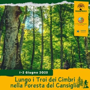 trekking escursione prealpi venete foresta cansiglio troi cimbri faggi faggeta rifugio vittorio veneto domenica lunedì 1 2 giugno 2025 veneto