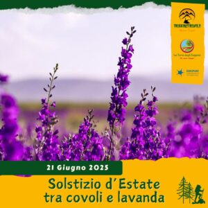 trekking escursione solstizio estate colli berici villaga eremo san donato covoli lavanda lavandeto sabato 21 giugno 2025 veneto mattina