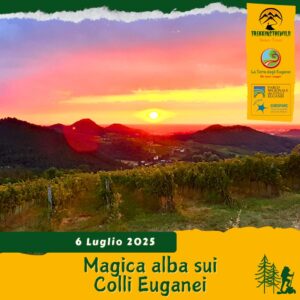 trekking escursione colli euganei terre bianche luvigliano torreglia alba sole domenica 6 luglio 2025 unesco