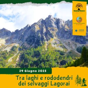 trekking escursione lagorai val inferno rifugio caldenave rododendri laghi malga cima nassere domenica 29 giugno 2025 veneto trentino alto adige