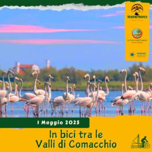 cicloturismo ciclo-escursione bici parco delta po comacchio fenicotteri rosa argine angeli emilia romagna giovedì 1 maggio 2025 veneto anguilla