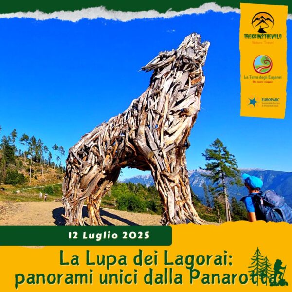 trekking escursione lagorai lago levico cima panarotta lupa martalar vaia malga masi fravort trentino alto adige sabato 12 luglio 2025 estate