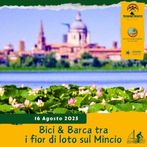 cicloturismo ciclo-escursione bici mantova valli mincio navigazione fior di loto tramonto grazie cotechino barca noleggio sabato 16 agosto 2025 lombardia