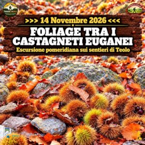trekking escursione foliage castagni colli euganei teolo monte madonna grande sabato 14 novembre 2026 veneto