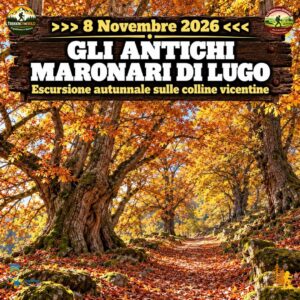 trekking escursione maronari castagni lugo calvene vicenza san martino domenica 8 novembre 2026 veneto
