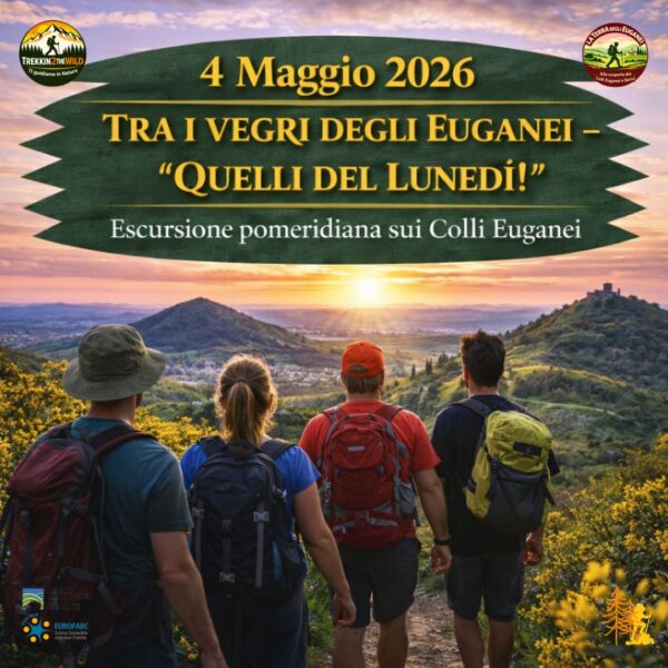 trekking escursione colli euganei ginestre fiore monte fasolo cinto euganeo tramonto lunedì 4 maggio 2026 pomeriggio veneto