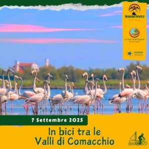cicloturismo ciclo-escursione bici parco delta po comacchio fenicotteri rosa argine angeli emilia romagna domenica 7 settembre 2025 veneto anguilla
