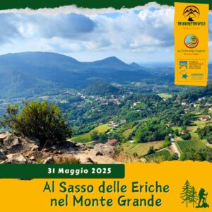 trekking escursione colli euganei monte grande sasso eriche pria grossa teolo rovolon sabato pomeriggio 31 maggio 2025 unesco