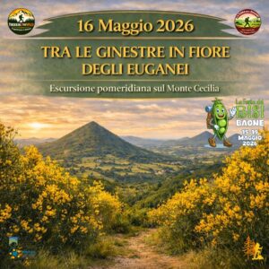 trekking escursione colli euganei festa bisi baone monte cecilia ginestre fiore vegri sabato 16 maggio 2025 pomeriggio veneto pro loco
